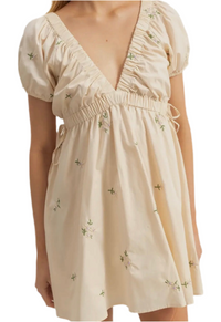 Candice V-Neck Mini Dress