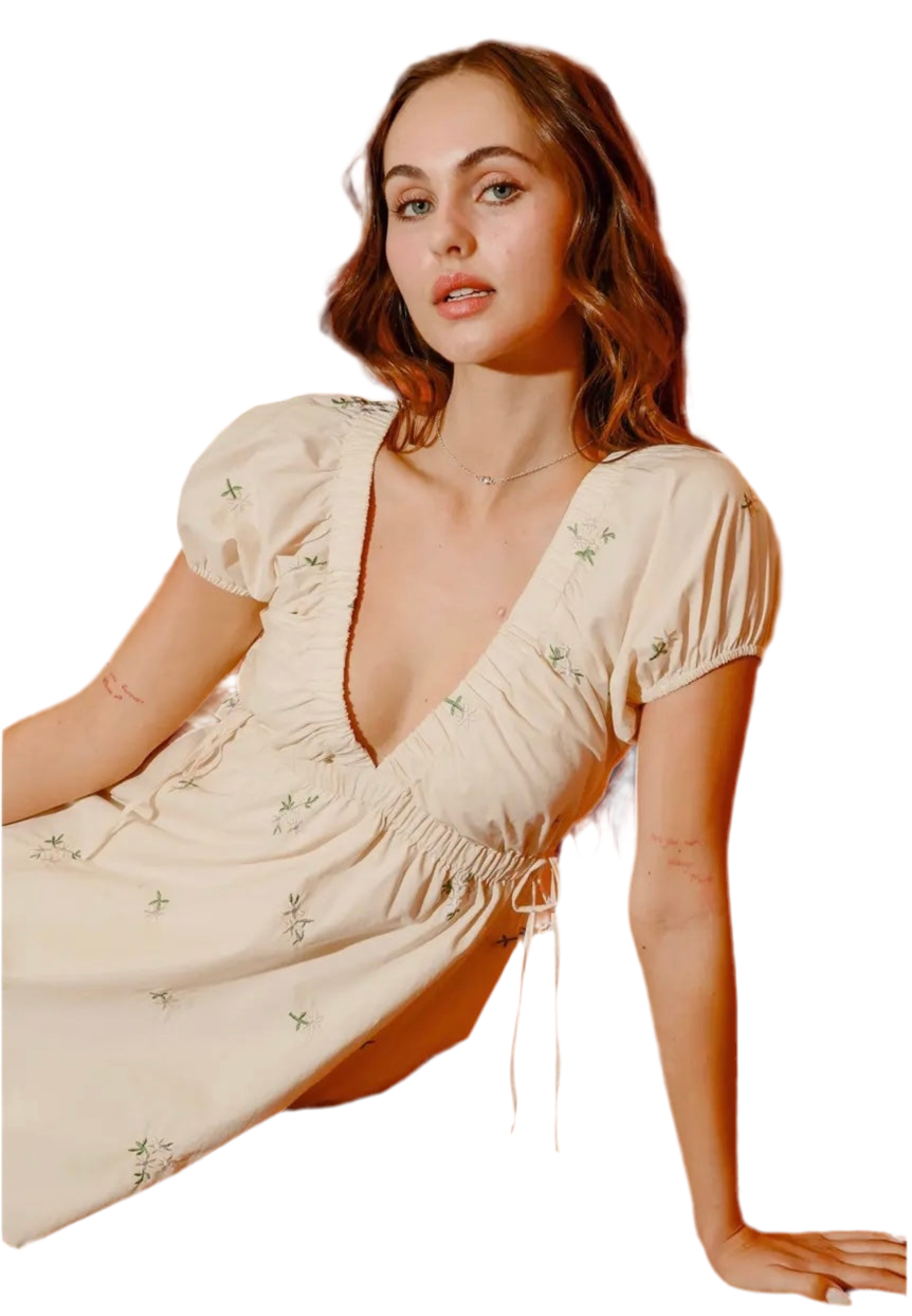 Candice V-Neck Mini Dress