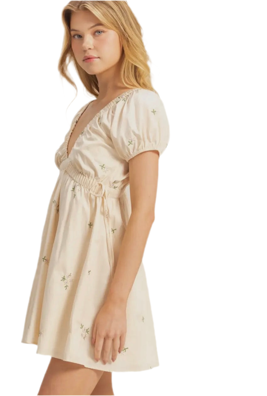 Candice V-Neck Mini Dress
