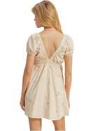Candice V-Neck Mini Dress