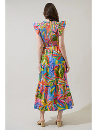Danielle Paisley Multi Dress